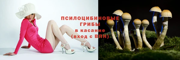 бошки Корсаков