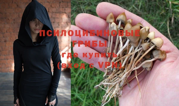 бошки Корсаков