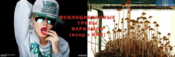 бошки Корсаков