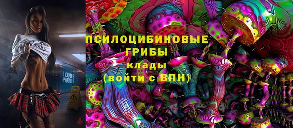 прущая мука Костерёво